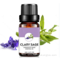 Buy online active ingredients cas8016-65-7 Sage oil price